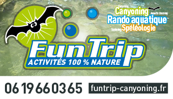 Fun Trip